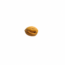 Dokany