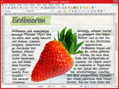 SoftMaker Office 2024