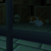 Down_Under