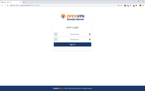 OpenVPN Client Connect