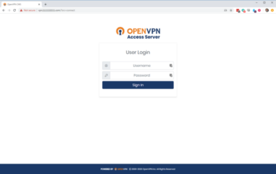OpenVPN Client Connect