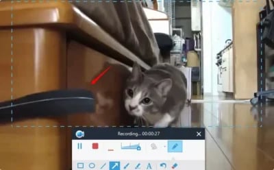 Apowersoft Screen Recorder Pro