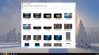 Everything – Portable Version