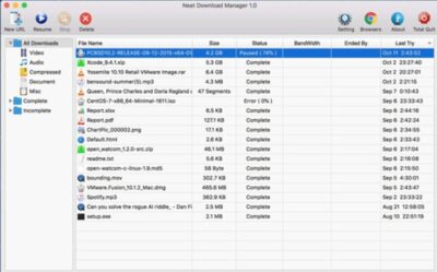 Neat Download Manager
