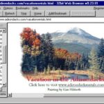 32Bit Web Browser