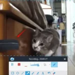 Apowersoft Screen Recorder Pro