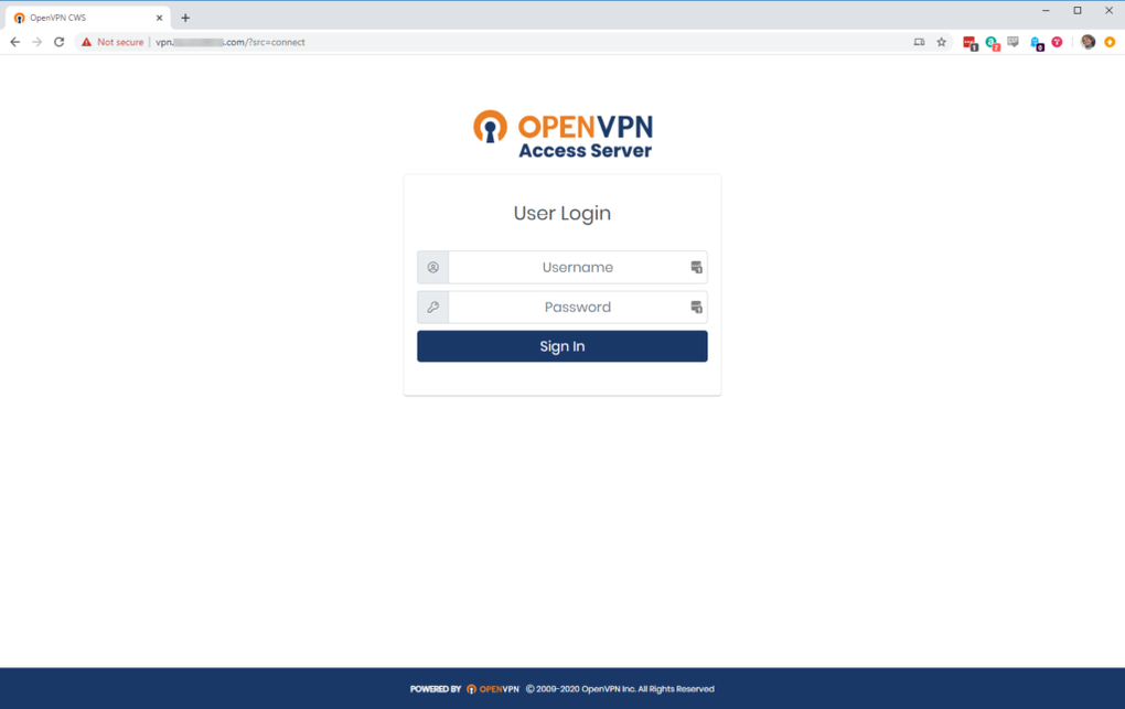 OpenVPN